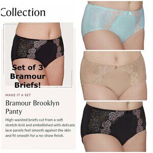 Set of 3! Panties Large Brief Bramour Brooklyn FITS 29-30" High-Waist 40-42" Hip